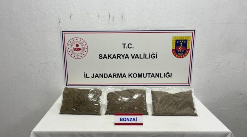 Jandarma uyuşturucuya geçit vermiyor: 1 tutuklama 1