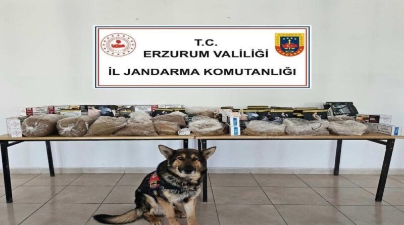 Jandarmadan kaçakçılara operasyon 1