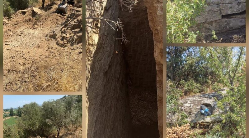 Kaçak kazı yaparken suçüstü yakalandılar 1