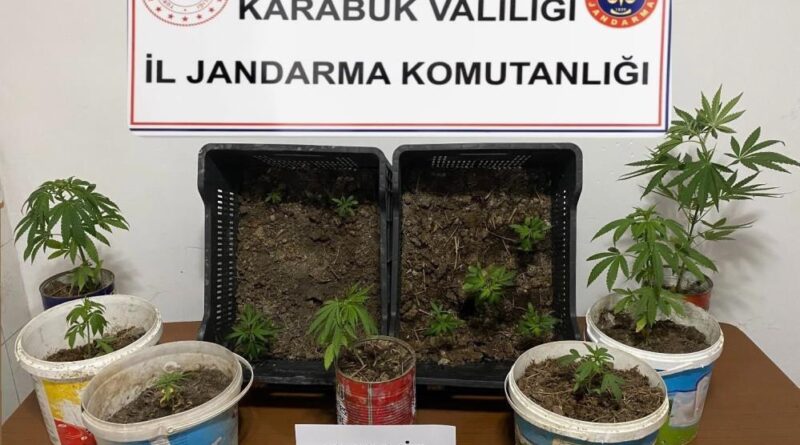 Karabük'te iki evde 14 kök kenevir ele geçirildi 1