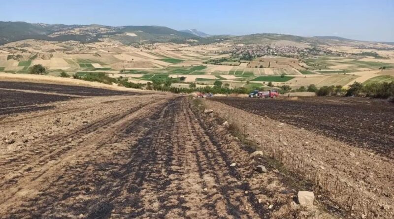 Kaya: "Anız yakmayın, toprağınızı koruyun" 1