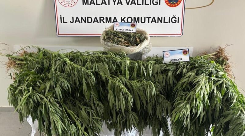 Malatya’da jandarmadan uyuşturucu operasyonu 1