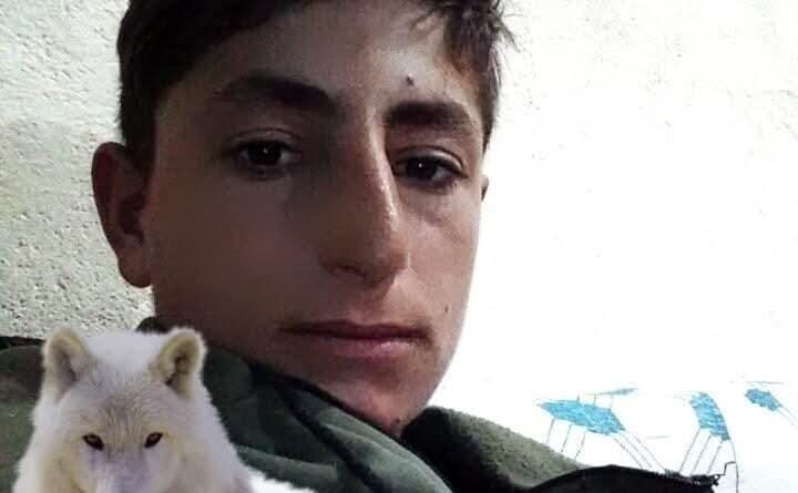 Muş'ta iş kazası: 20 yaşındaki genç hayatını kaybetti 1