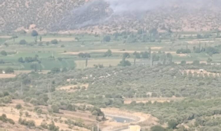 Nazilli’de makilik ve zirai alan yangını 1
