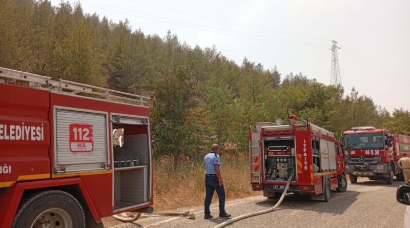 Nizip Belkız Köyü mesire alanında yangın 1