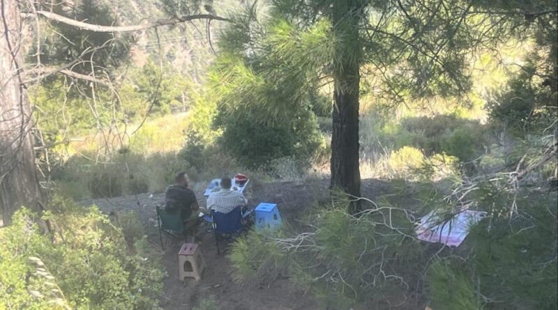 Ormanda piknik yapan 4 şahsa yasal işlem yapıldı 1