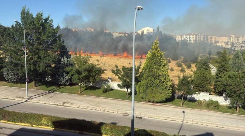 Parkta çıkan yangın paniğe sebep oldu 1