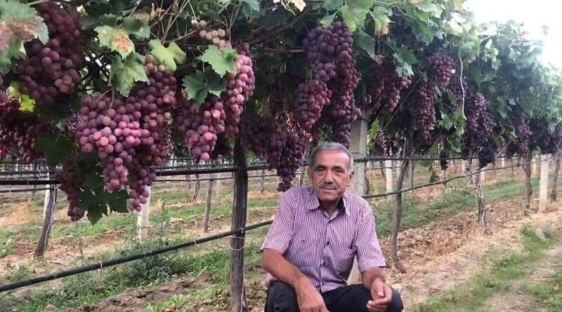 Sarıgöl Ziraat Odası'ndan tarım işçilerine yeni ücret tarifesi 1