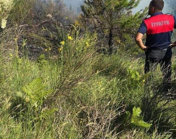 Sinop'ta çıkan orman yangını büyümeden söndürüldü 1