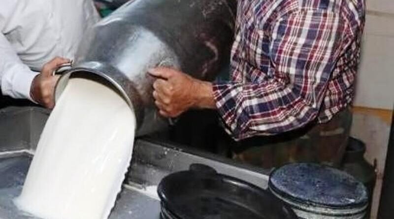 Ticari süt işletmelerince 999 bin 348 ton inek sütü toplandı 1
