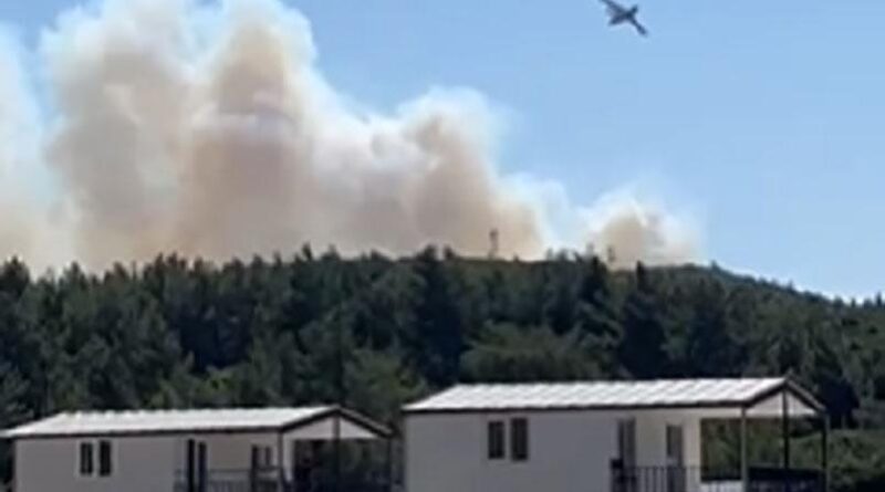 Urla'da makilik alanda korkutan yangın 1