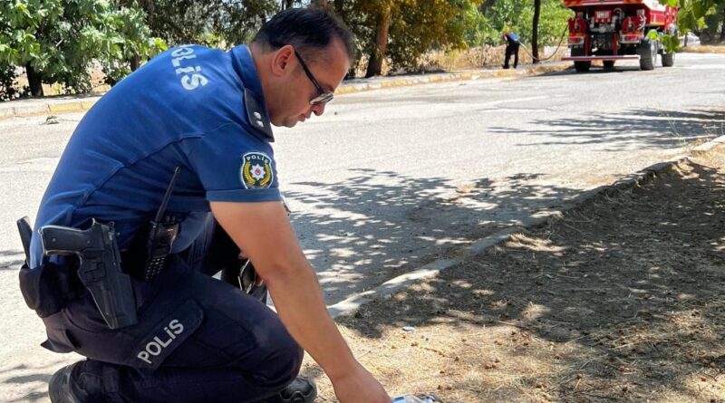 Yanmak üzere olan kaplumbağayı polis son anda kurtardı 1