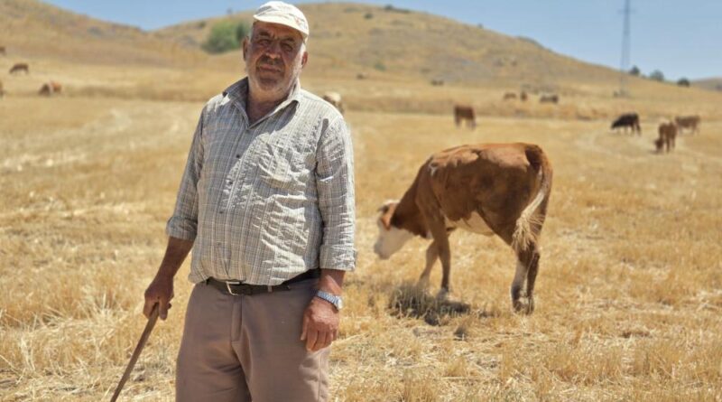 40 yıllık çoban sağlığını mesleğine borçlu olduğunu söyledi 1