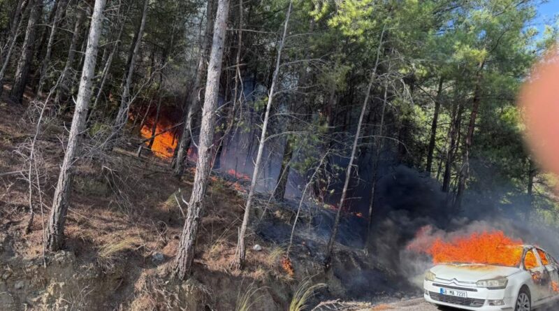 Araçtaki yangın ormana sıçradı 1
