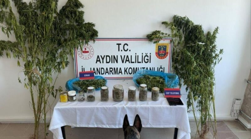 Aydın’da jandarmadan uyuşturucu operasyonu: 12 şüpheli yakalandı 1
