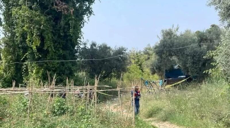 Bahçesini domuzlardan korumak için evden çıkan çiftçi tarlasına ölü bulundu 1
