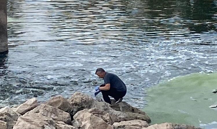 Balık ölümlerinin nedeni aşırı sıcaklar 1