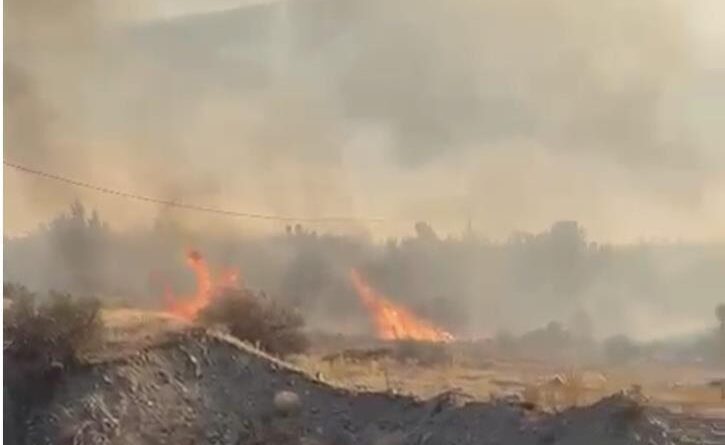 Elazığ’da örtü yangını söndürüldü 1