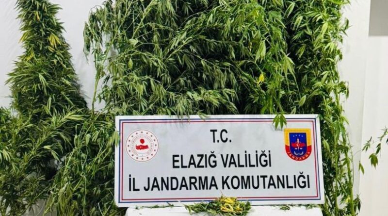 Elazığ’da uyuşturucuyla mücadele 1