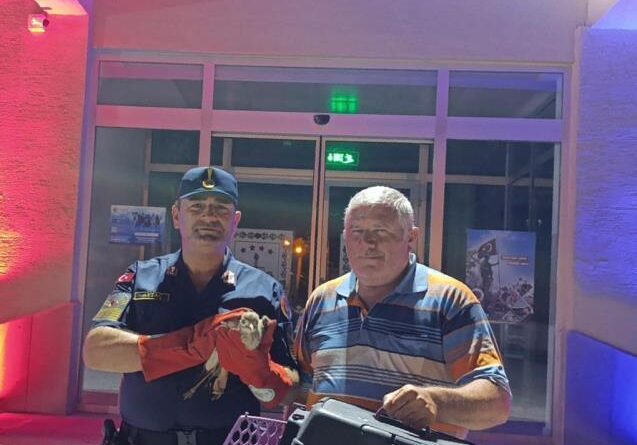 Jandarmanın bulduğu yaralı Kocagöz koruma altına alındı 1