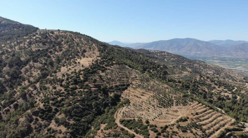 Karacasu Kaymakamlığı orman yangını riskine dikkat çekti 1
