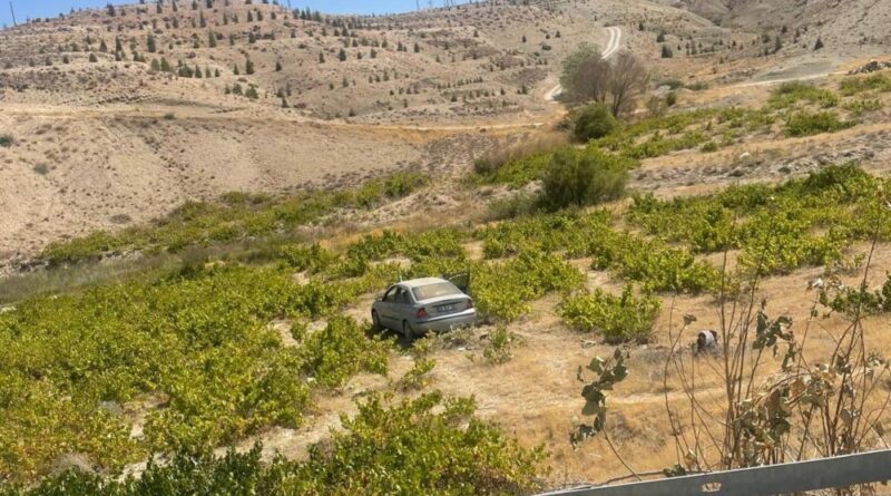 Malatya'da kontrolden çıkan araç üzüm bağına uçtu: 2 yaralı 1