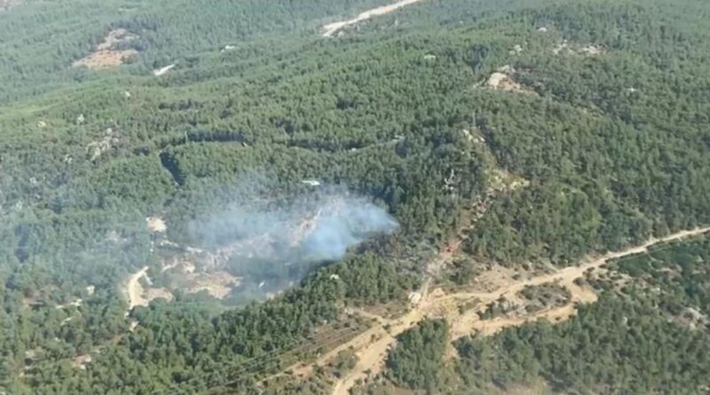 Milas’ta çıkan orman yangını kontrol altına alındı 1
