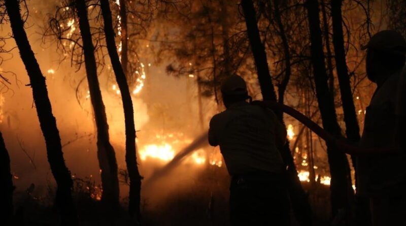 Muğla'da orman yangını riskine karşı uyarı 1