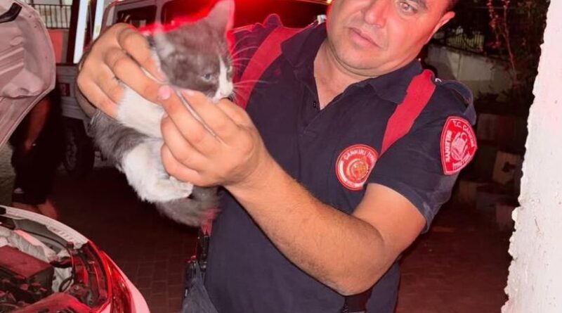 Otomobilin motor kısmına girerek sıkışan yavru kedi ekipleri seferber etti 1