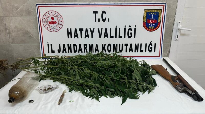 Payas’ta evinin bahçesinde hint keneviri yetiştiren şahıs yakayı ele verdi 1