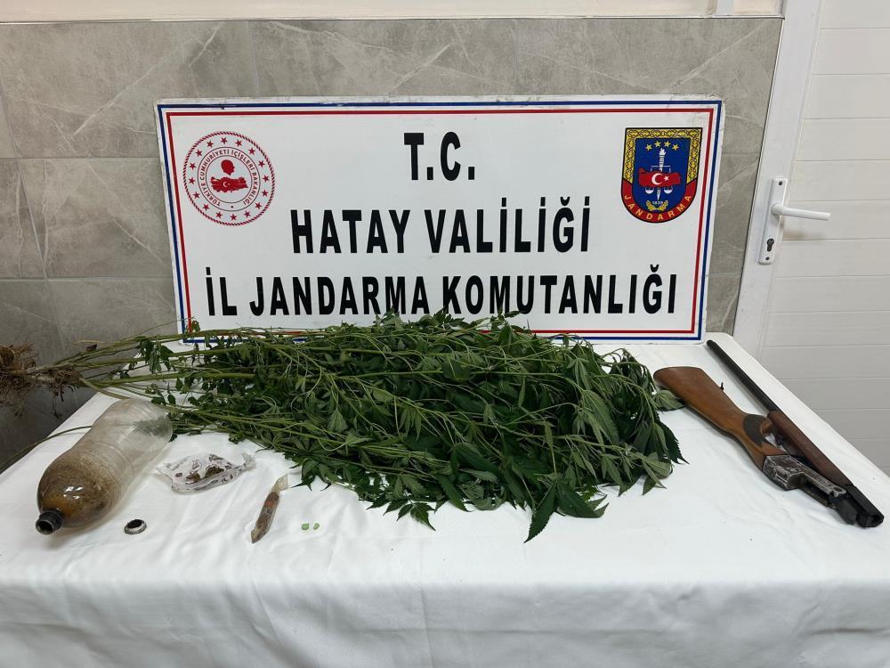 Payas’ta evinin bahçesinde hint keneviri yetiştiren şahıs yakayı ele verdi
