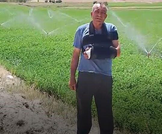 Sivas'ta sulama desteğiyle ekili araziler genişletiliyor 1