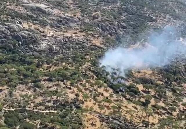 Söke’nin Latmos Dağları Değirmen Boğazı’nda yangın alarmı 1