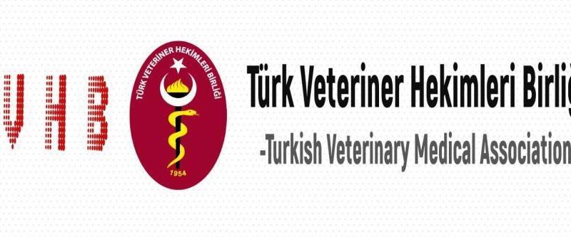 Türk Veteriner Hekimleri Birliği’nden Kars'taki hayvan barınağında uygulanan şiddette tepki 1