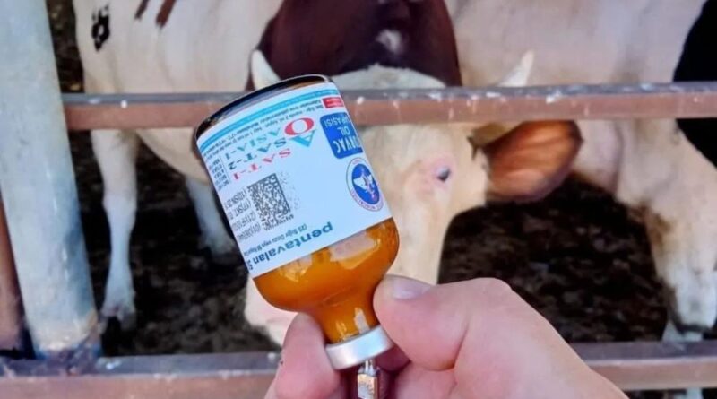 Yozgat’ta kapatılan hayvan pazarları yeniden açıldı 1