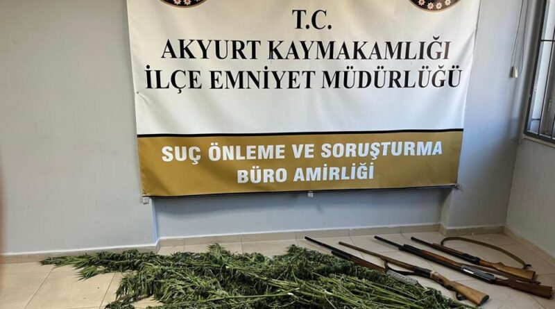 Akyurt’ta uyuşturucu operasyonu: Hint keneviri ve ruhsatsız tüfekler ele geçirildi 1