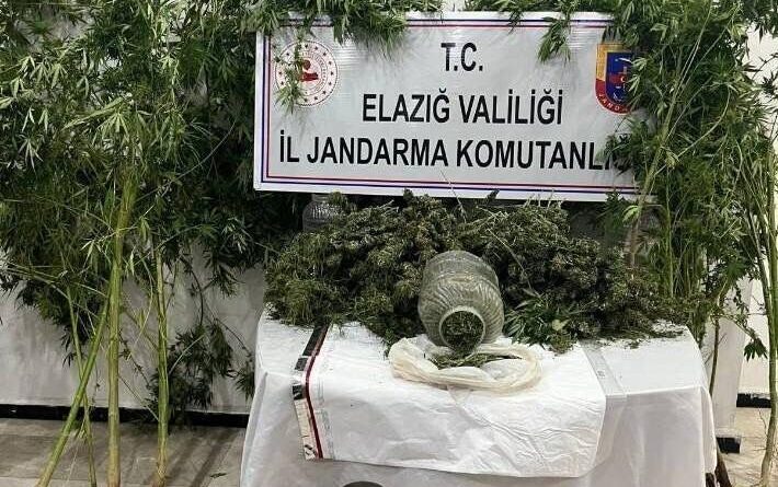 Elazığ’da uyuşturucuyla mücadele: 1 tutuklama 1