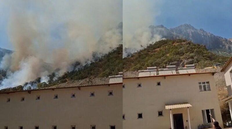 Hakkari-Çukurca kara yolundaki makilik alanda yangın çıktı 1
