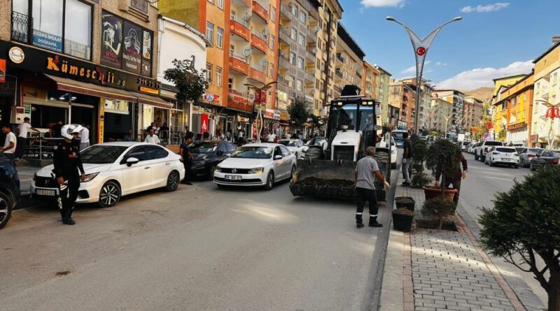 Hakkari'de 235 ağaç toprakla buluştu 7