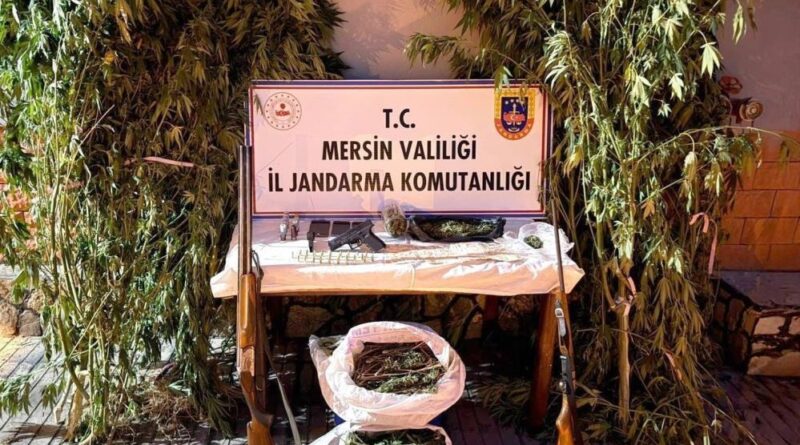 Mersin'de bahçelerine kenevir eken 3 şüpheli yakalandı 4