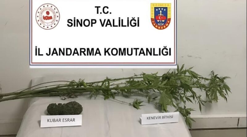 Sinop’ta kenevir ve kubar esrar ele geçirildi 1