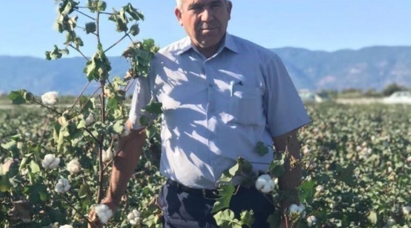 Söke Ziraat Odası Başkanı Tanyeri: "40 liranın altı pamuk üreticisinin sonu olur" 9