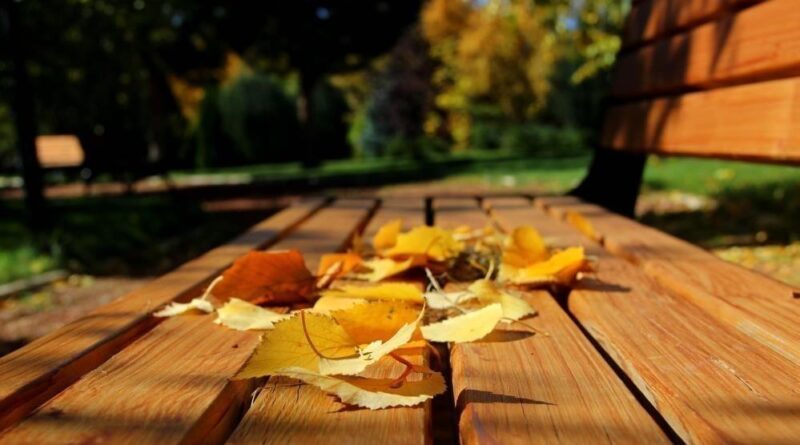 Sonbahar halsizliğine diyetisyenlerden tavsiyeler 1