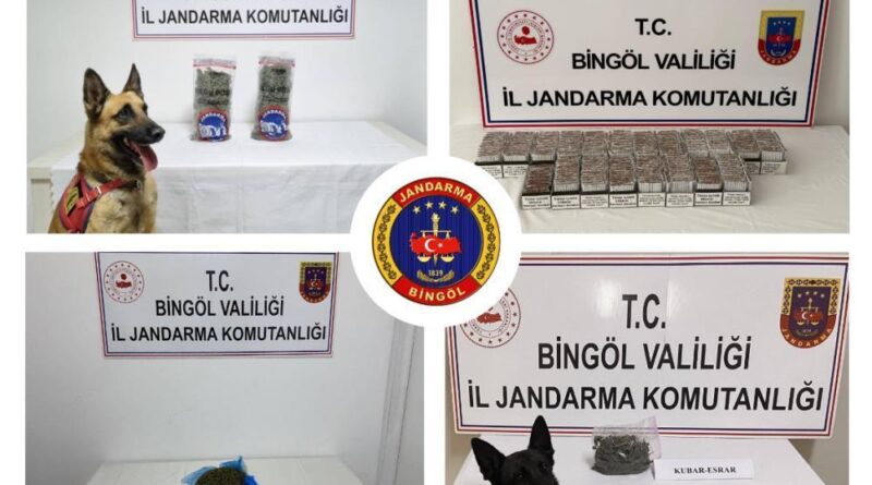 Bingöl'de jandarma ekipleri huzur ve güven için sahada 1