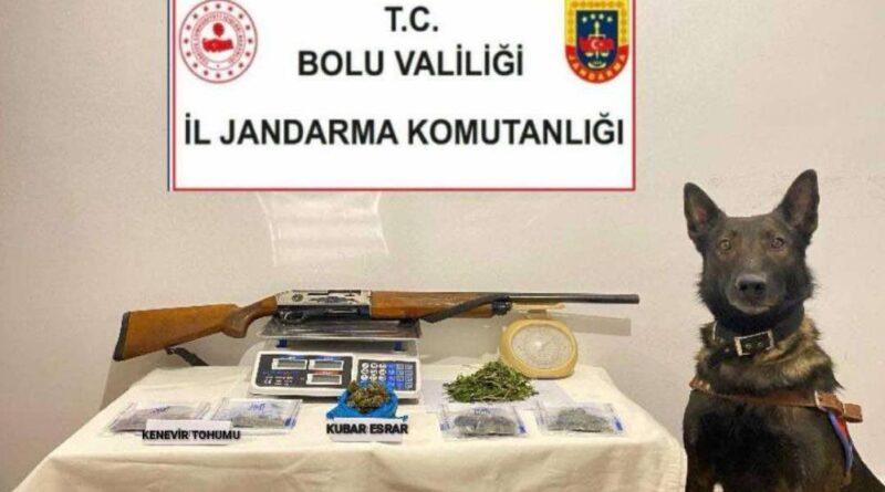 Bolu'da uyuşturucu operasyonu: 1 tutuklama 1