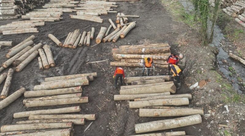 Düzce'den 11 bin 596,5 ton orman ürünü ihraç edildi 1