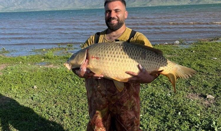 Elazığ’da amatör balıkçı 32 kiloluk dev sazan yakaladı 1