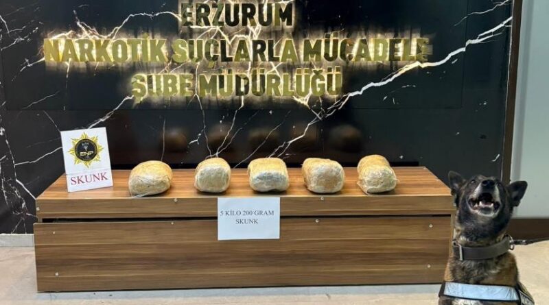 Erzurum'da 5 kilo 200 gram skunk maddesi ele geçirildi 1
