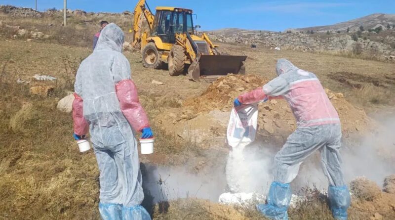 Gümüşhane’de şarbon hastalığı nedeniyle 6 köye giriş çıkış yasaklandı 1