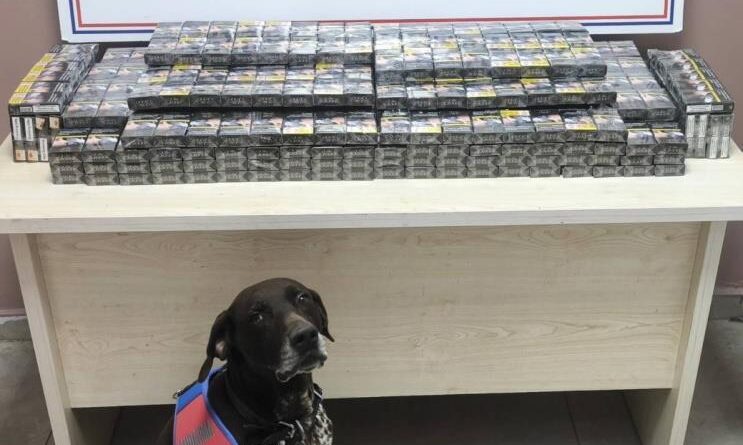 Kimlik kontrolü için durdurulan 2 tırdan 560 paket kaçak sigara ele geçirildi 1